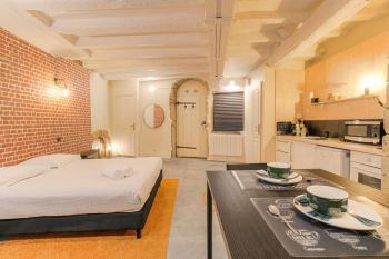 Industrial-style studio with bathtub, Vieux-Lyon, Lyon (fotografie 2)
