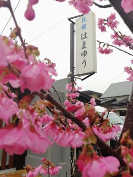 Hamayuu, Higashiizu (zdjęcie 3)