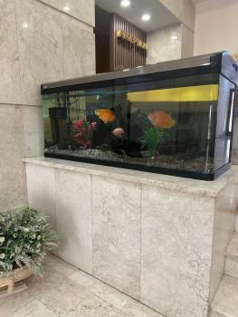 Акку, Astana (Foto 5)
