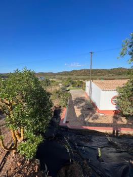 Quinta with orange and lemon trees, Silves (photo 5)