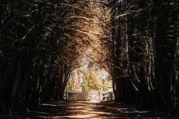 The Barn at Crofters Fold - Daylesford Macedon Region, Pipers Creek (Foto 4)