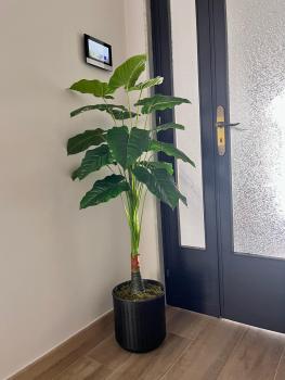 Luxury Studio 11, Bari (Foto 3)