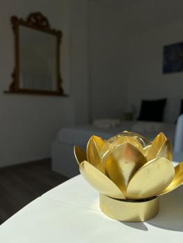 Fior di Loto Suite - Lingotto, Turín (fotografie 5)