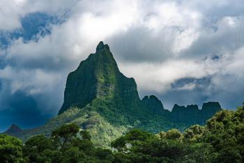 MOOREA - Fare Nihei, Maharepa (Foto 2)