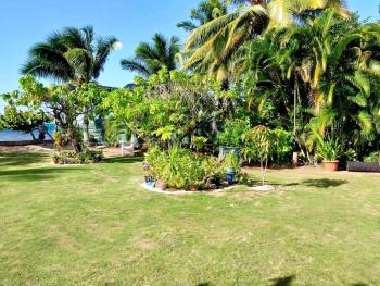 MOOREA - Fare Nihei, Maharepa (Foto 4)
