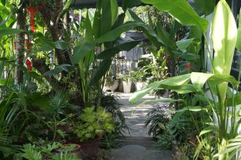 Sunny Garden Homestay, Hội An (photo 2)