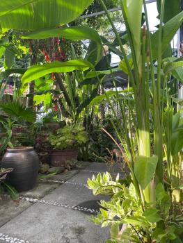 Sunny Garden Homestay, Hội An (photo 3)