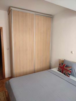 Tropicana Apartment, Skopje (photo 5)