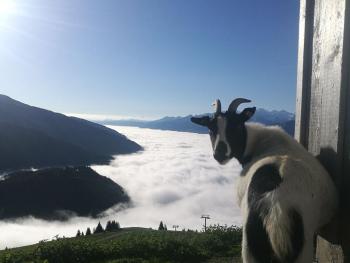 Cabin in Brixental by Ski Lift Access, Mittersill (photo 3)