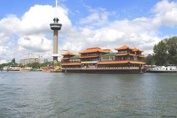 New Ocean Paradise Hotel, Rotterdam (foto 2)