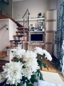 Apartment in the city center mini, Iwano-Frankiwsk (Foto 3)