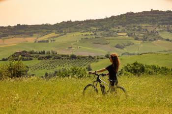 Lupaia, Montepulciano (zdjęcie 5)