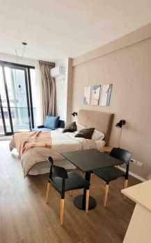 Complejo premium en San Telmo, seguridad 24hs, SPA, Gym, parrrilla, coworking, rooftop, Buenos Aires (fotografie 4)