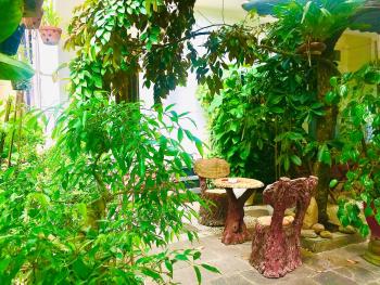 Pebble Homestay, Hoi An (fotografie 4)