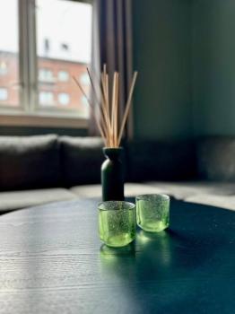 Great apartment centrally located on Majorstua, Oslo (foto 5)