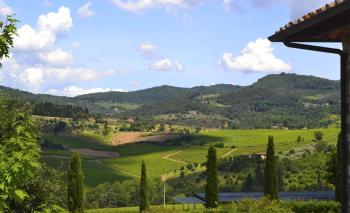 Viticcio, Greve in Chianti (fotografie 5)