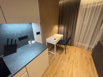 Blue River Apartment - Wrocław, Breslau (Foto 5)