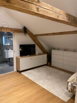 Eine schöne Wohnung an der Birs, Basilej (fotografie 2)