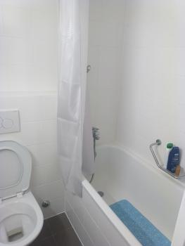 Charming flat center and near the lake, Ginebra (foto 4)