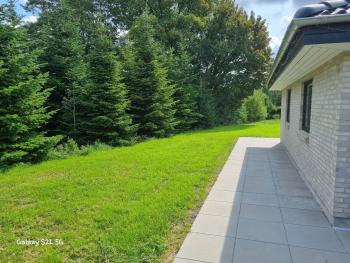 Bonico, Horsens (photo 5)