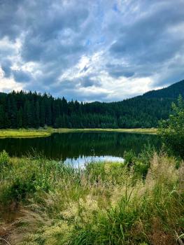RELAX aпартаменти, Смолянски езера, вила ВЕНЕРА, к-с Маунтин Лейк, Smolyan (foto 3)