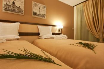 Earth & People Hotel & SPA - Free Parking & Swimming Pool, Sofía (foto 3)