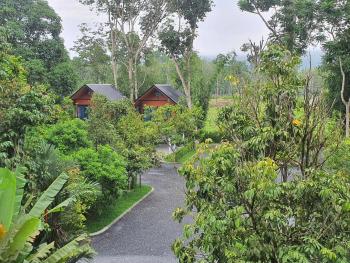 บ้านสวนเรินย่า(เรินย่าคาเฟ่), Thung Song (zdjęcie 2)