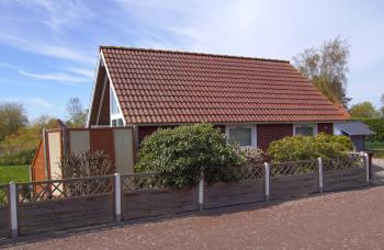 Seepferdchen, Brasilien (Schönberg) (foto 2)