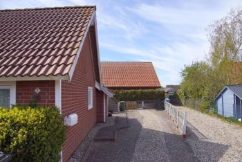 Seepferdchen, Brasilien (Schönberg) (foto 3)