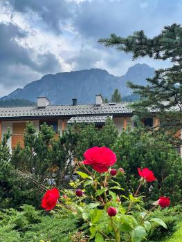 Apartament Wilcza Jama z kominkiem - Viva pod Giewontem Apartamenty, Zakopane (foto 5)