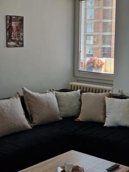 Niko-Max Apartment, Скопье (фото 3)