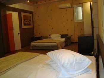 Minoa Athens Hotel, Афины (фото 4)