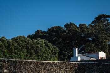 ENTRE MUROS - Turismo Rural - Casa com jardim e acesso direto ao mar, Ribeira Grande (fotografie 5)