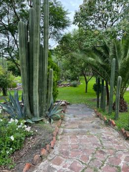 Home in San Miguel de Allende. Casita de La Aldea, San Miguel de Allende (foto 2)