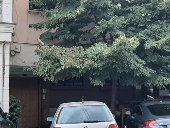 Yes, Tirana (photo 3)
