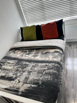 Modern Comfy One Bed Apartment - Free Parking, Glasgow (foto 3)
