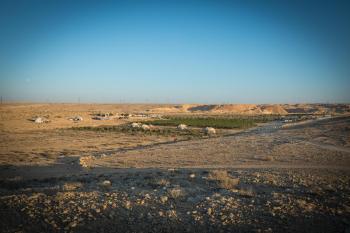 חוות נועם במדבר - noam farm, Mitzpe Ramon (Foto 5)