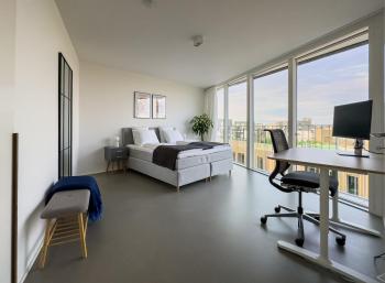 Exclusive Penthouse with Sunset Views, Kodaň (fotografie 4)