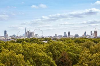 Sheraton Grand London Park Lane, Londra (foto 4)