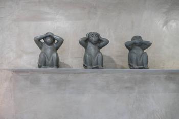 Silver, Funchal (zdjęcie 4)