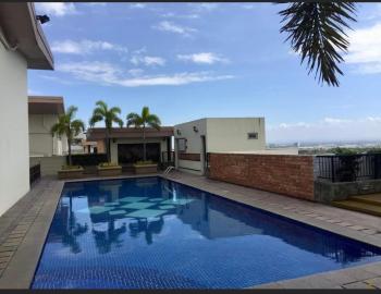 Morgan Suites Executive Residences, Manila (photo 5)