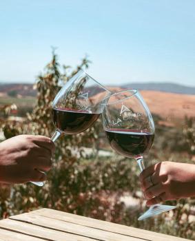 La Cima del Valle, Valle de Guadalupe (foto 2)