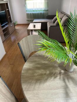Urban City Apartment, Skopje (photo 5)