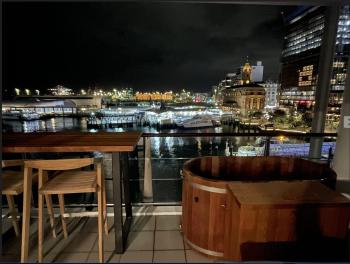 Luxury Apartment - Parking - Hot Tub - Stunning Views, Auckland (photo 3)