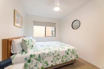 Oceancrest 4, Forster (fotografie 4)