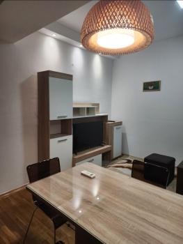 ROKO APARTMENTS 2, Skopje (foto 3)