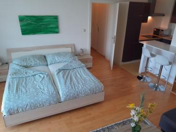 Serviced Apartment with Sunny Balcony, Vídeň (fotografie 2)