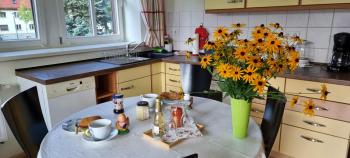 dresdnerferienwohnung - apartment am großen garten, Dresda (foto 4)