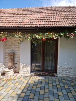 Bran Studio, Bran (zdjęcie 3)