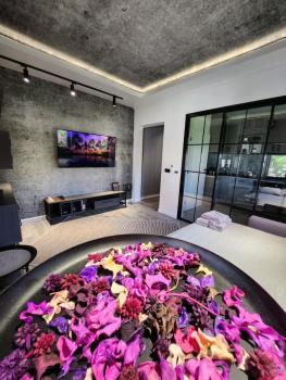 ART STUDIO BNB, Craiova (fotografie 4)